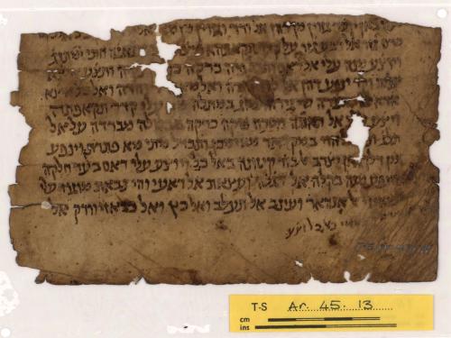 Ar.45.13 Medical instructions; Egypt; 10th-13th century; Judeo-Arabic; vellum